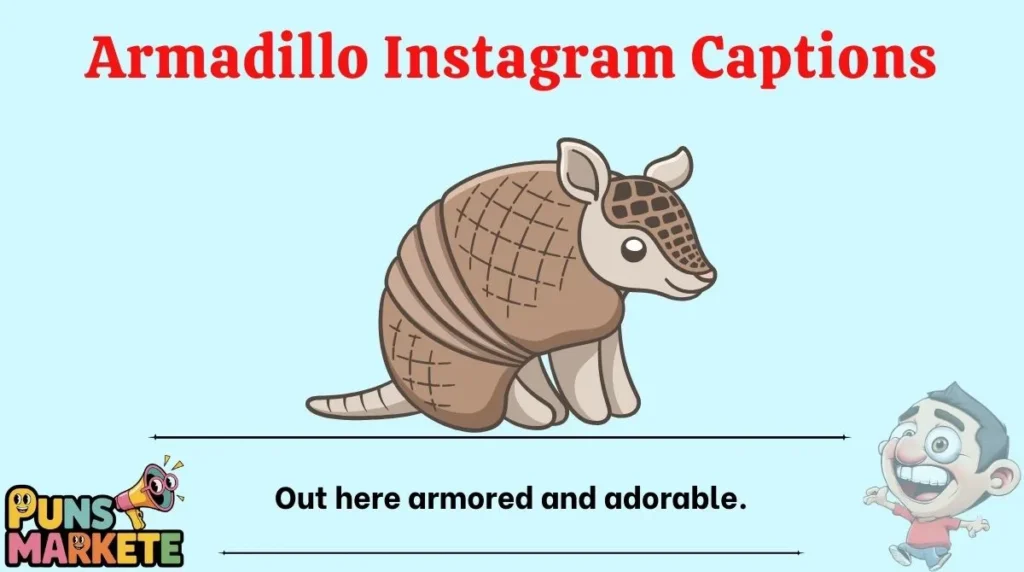 Armadillo Instagram Captions