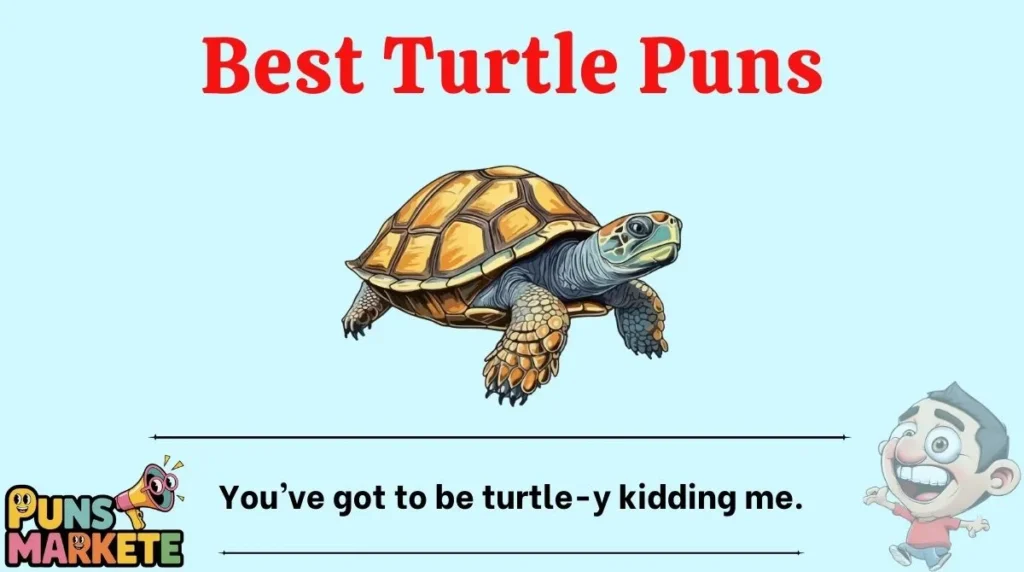 Best Turtle Puns