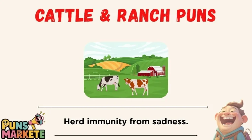 Cattle & Ranch Puns