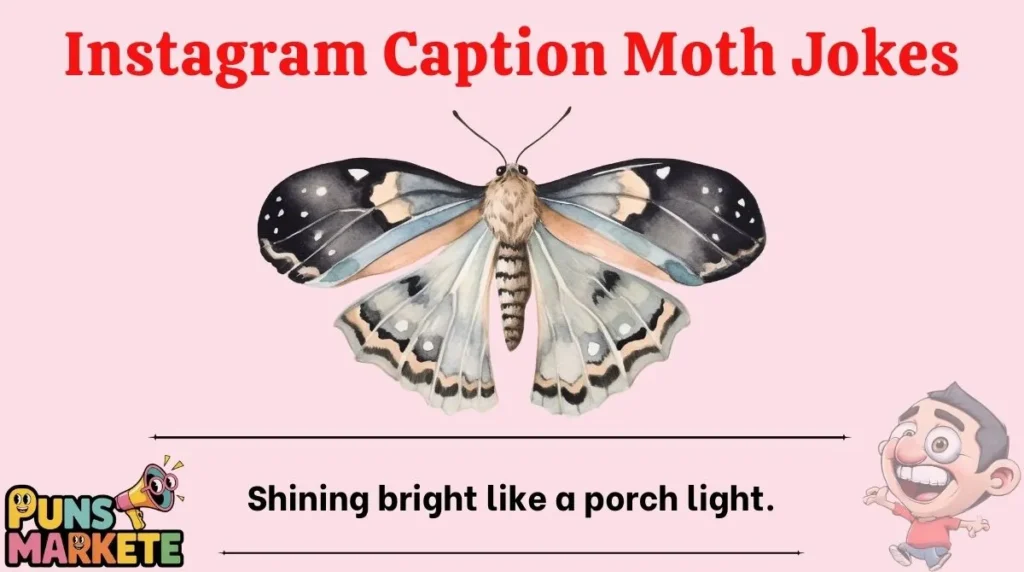 Instagram Caption Moth Jokes