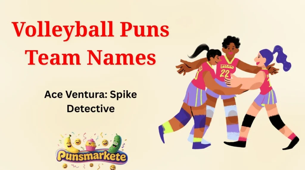 Volleyball Puns Team Names