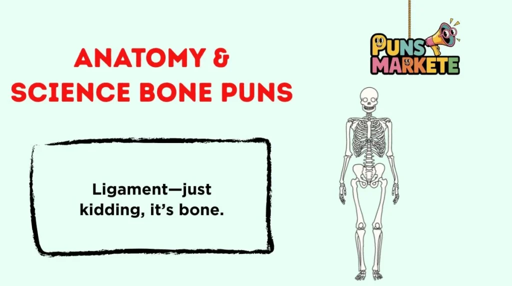 Anatomy & Science Bone Puns