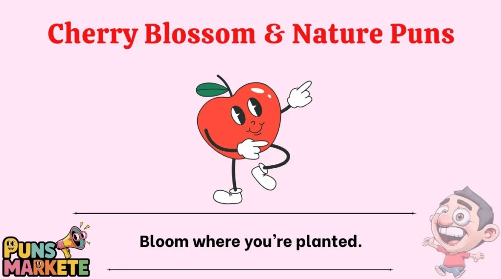 Cherry Blossom & Nature Puns