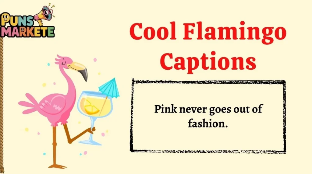 Cool Flamingo Captions