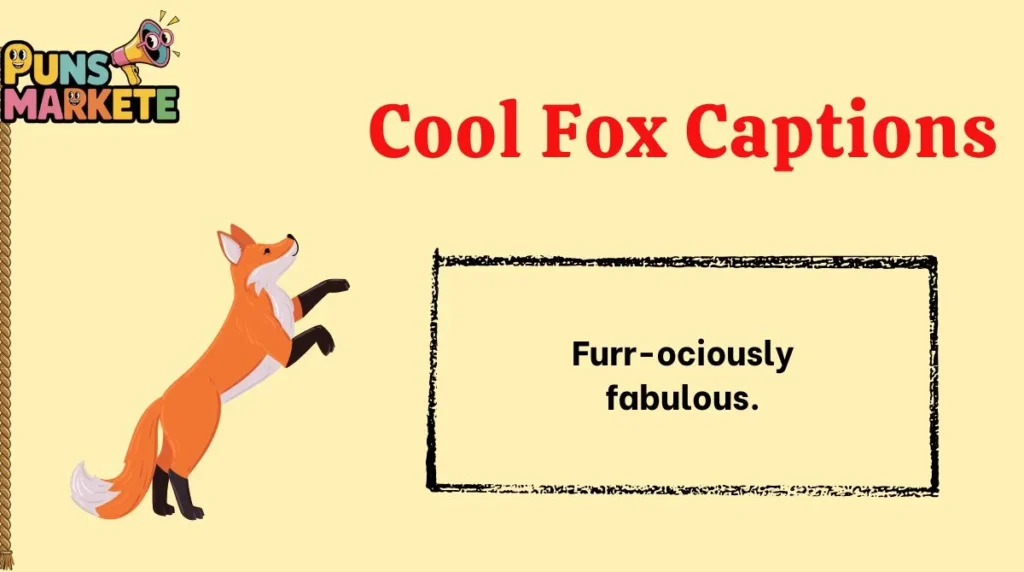 Cool Fox Captions