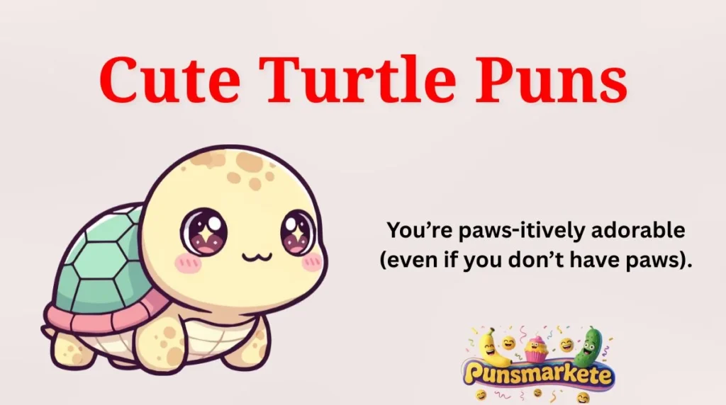 Cute Turtle Puns