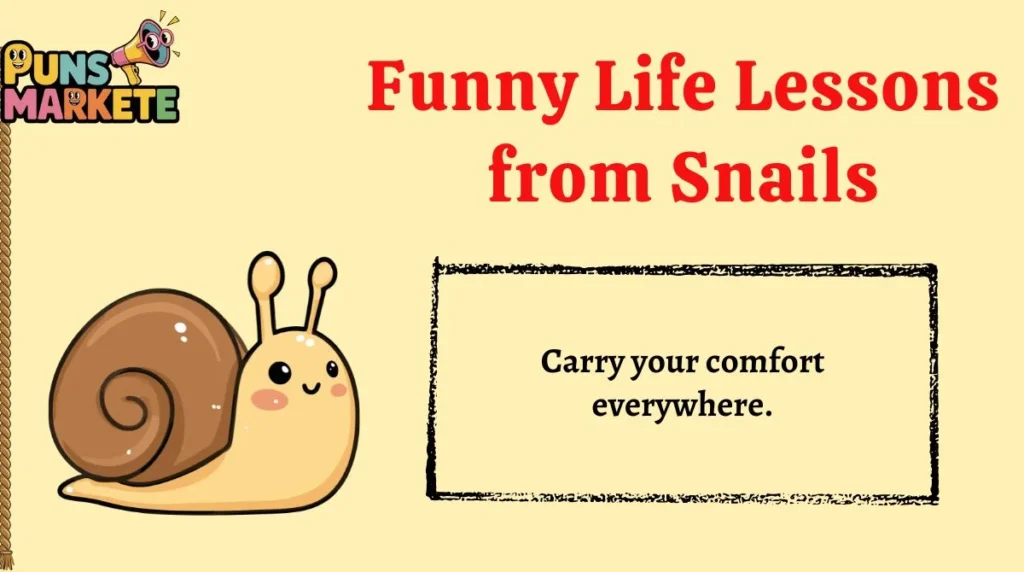 Funny Life Lessons from Snails
