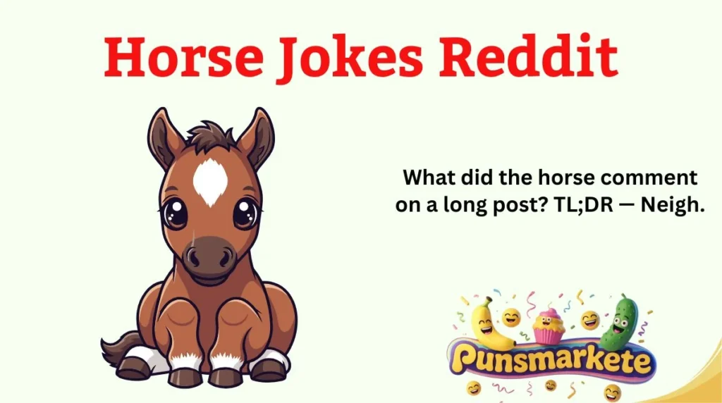 Horse Jokes Reddit