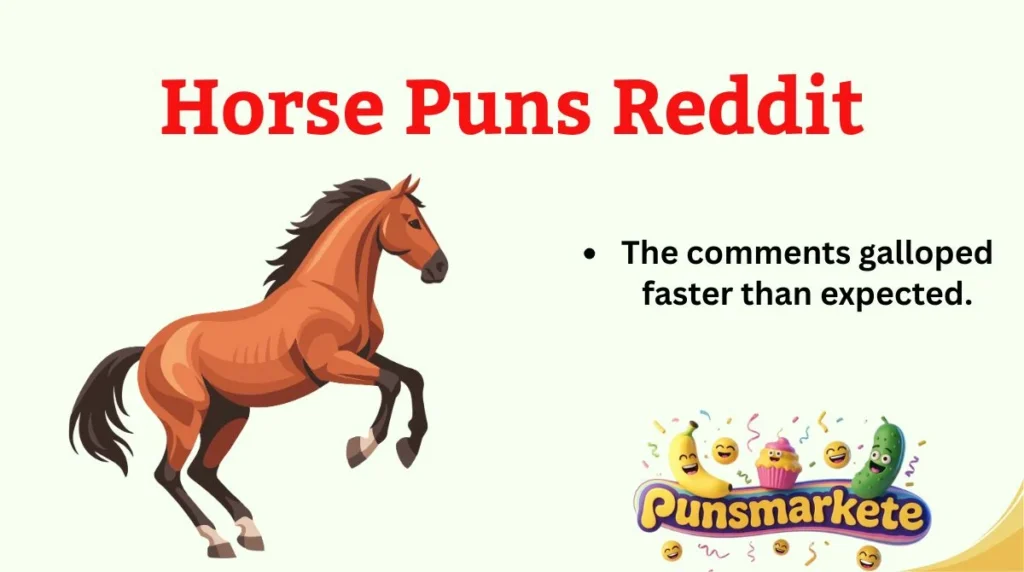 Horse Puns Reddit