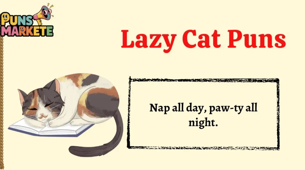 Lazy Cat Puns