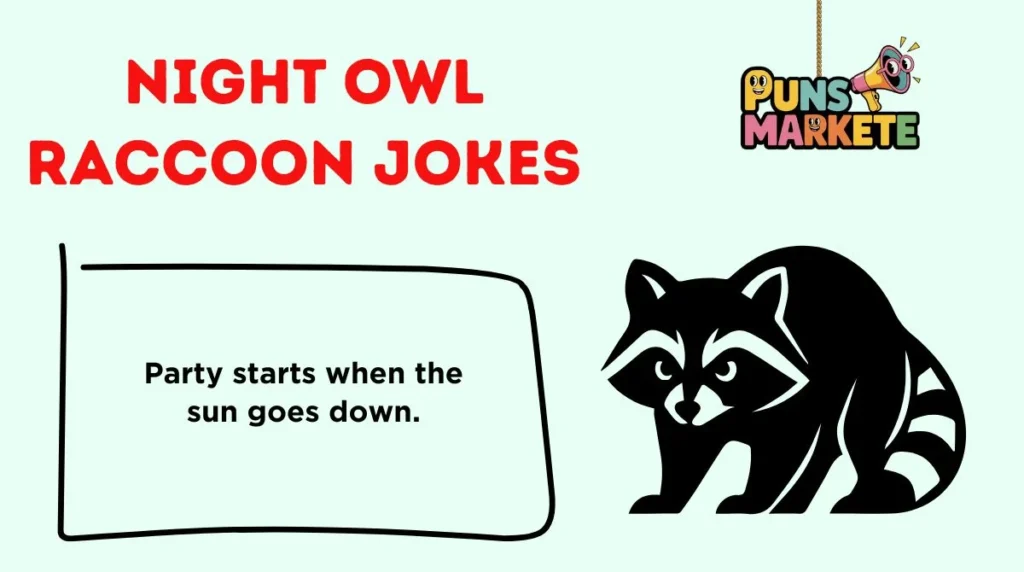 Night Owl Raccoon Jokes