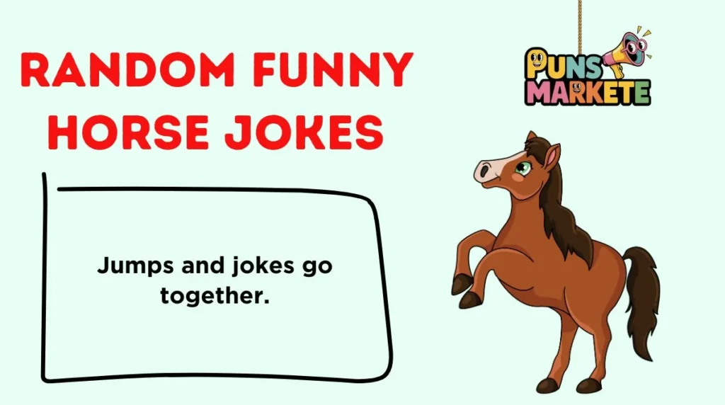 Random Funny Horse Jokes