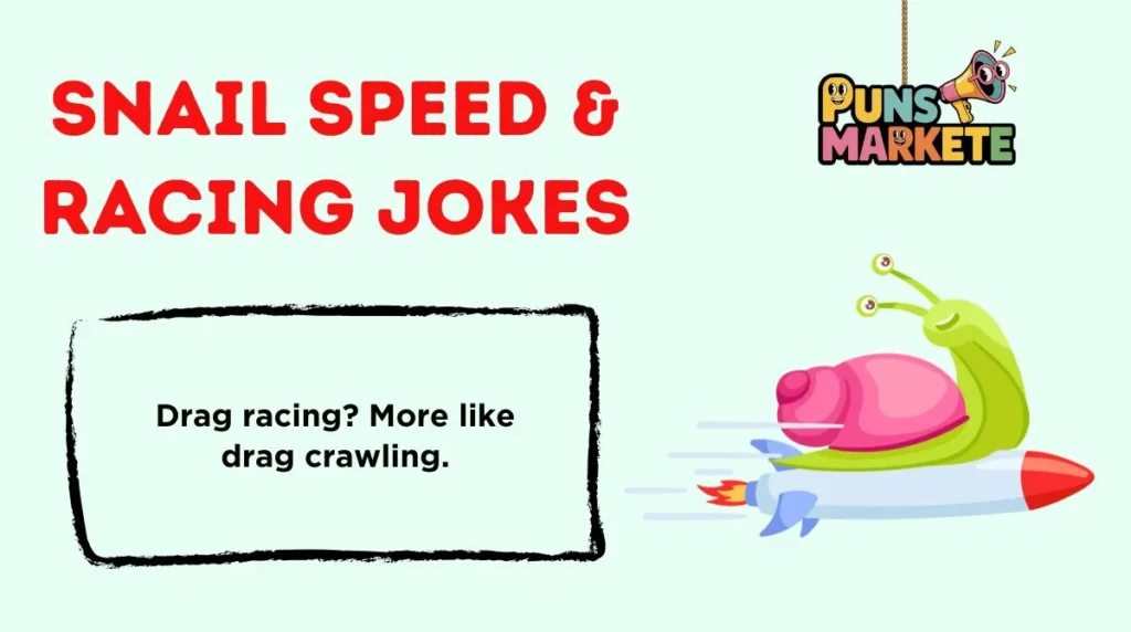 Snail Speed & Racing Jokes