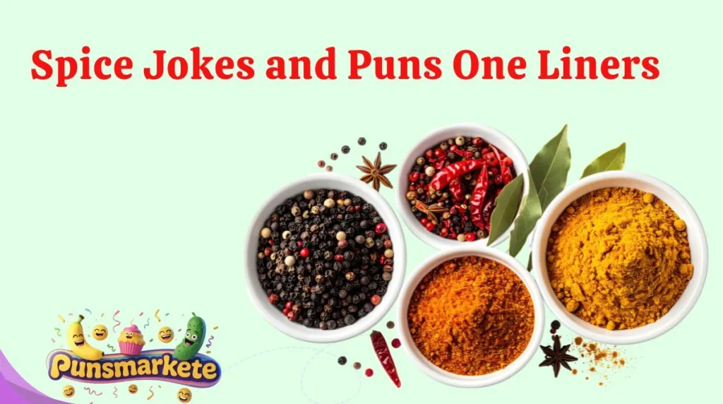 Spice Jokes and Puns One Liners