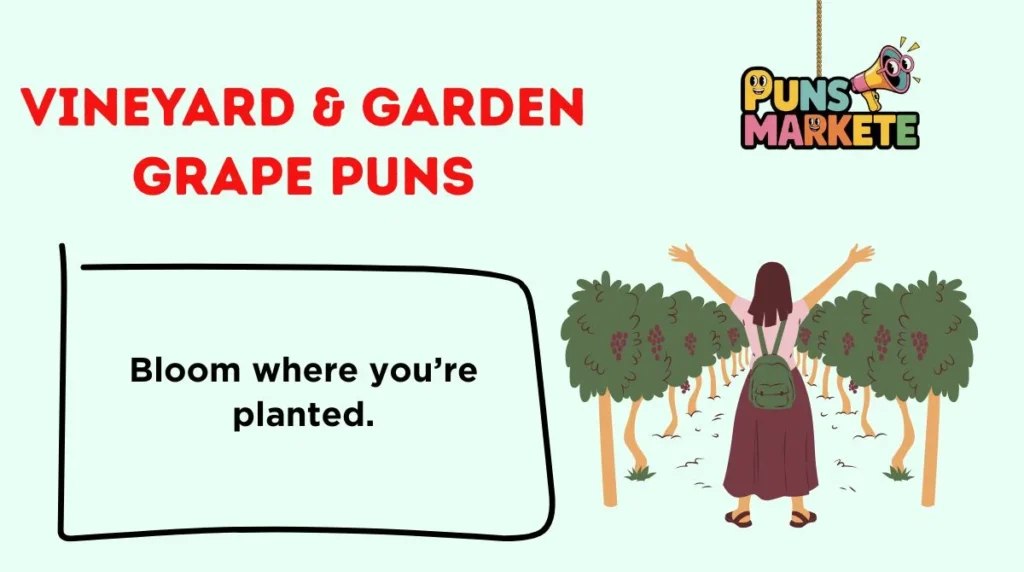Vineyard & Garden Grape Puns