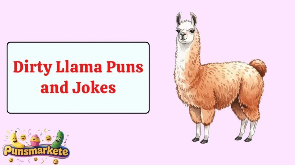 Dirty Llama Puns and Jokes