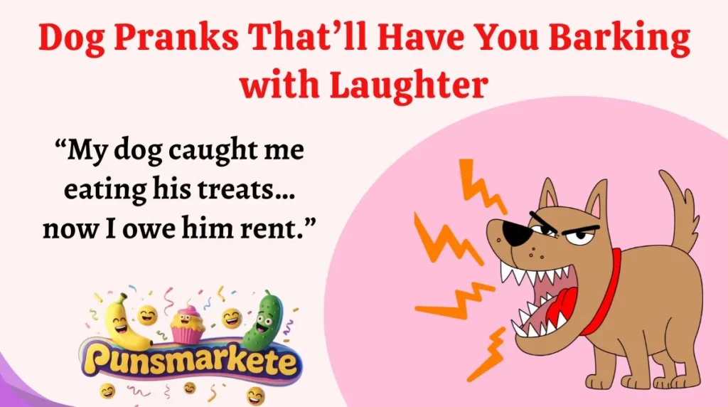Dog Pranks That’ll Have You Barking with Laughter