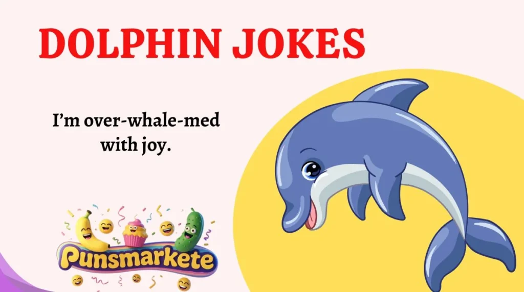 Dolphin Jokes
