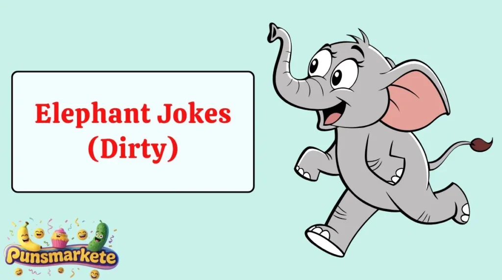 Elephant Jokes (Dirty)