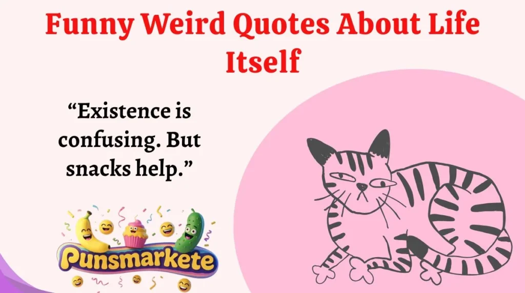 Funny Weird Quotes About Life Itself
