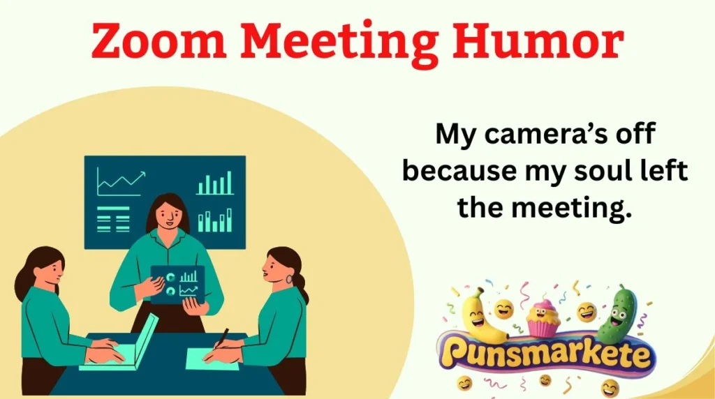 Zoom Meeting Humor