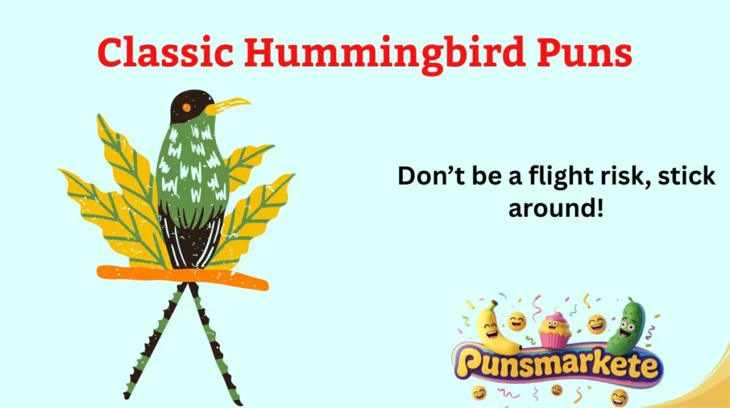 Classic Hummingbird Puns