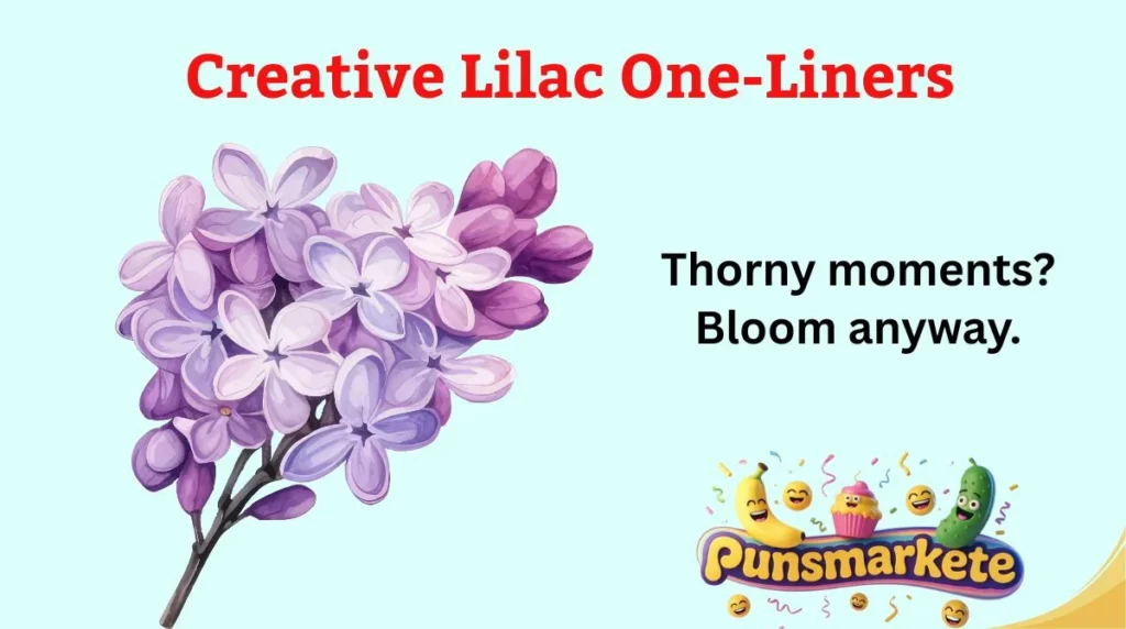 Creative Lilac One-Liners