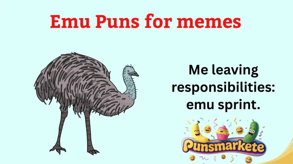Emu Puns for memes