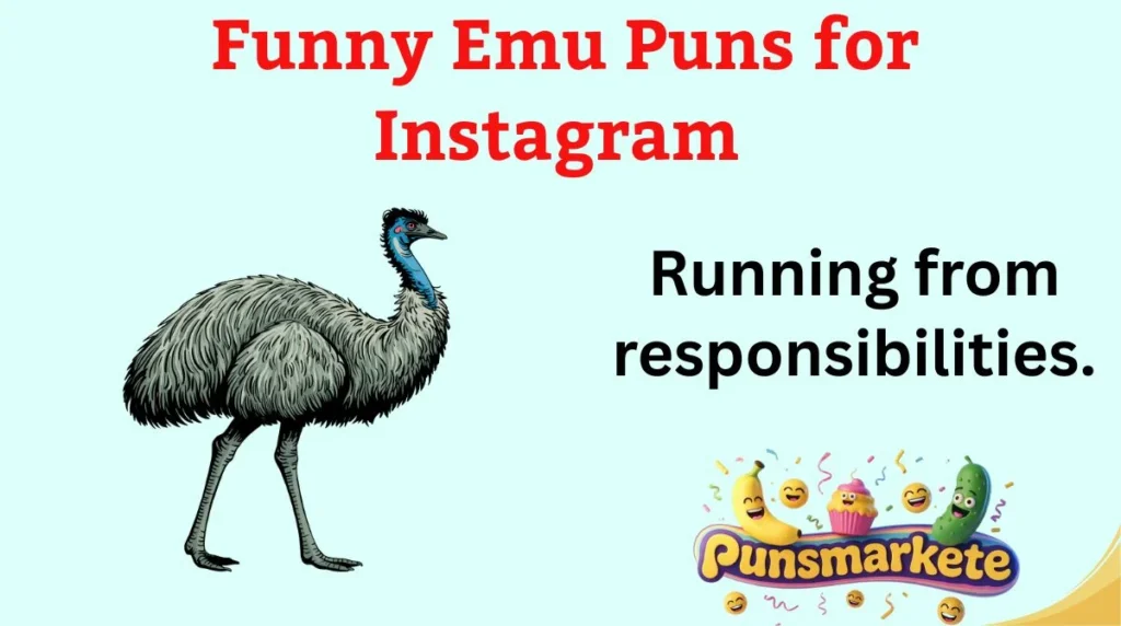 Funny Emu Puns for Instagram