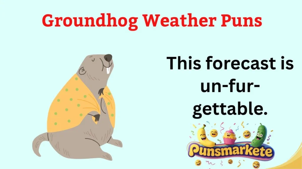 Groundhog Weather Puns