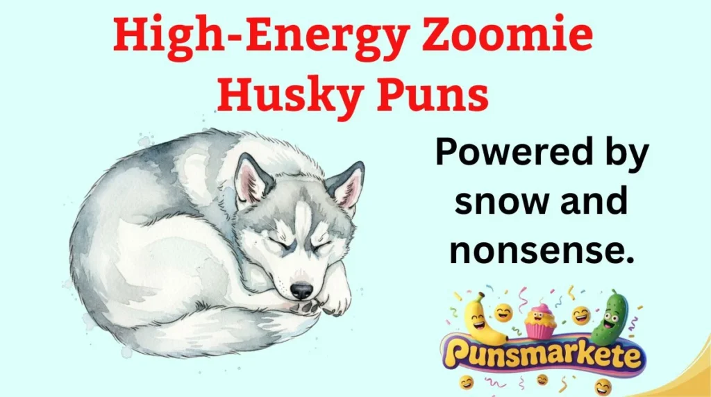High-Energy Zoomie Husky Puns