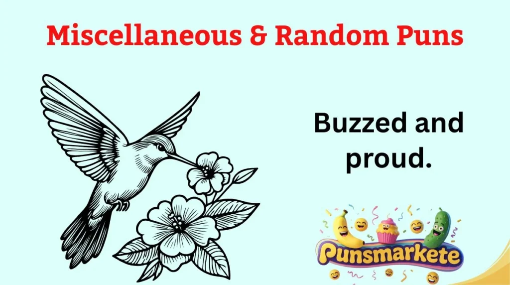 Miscellaneous & Random Puns