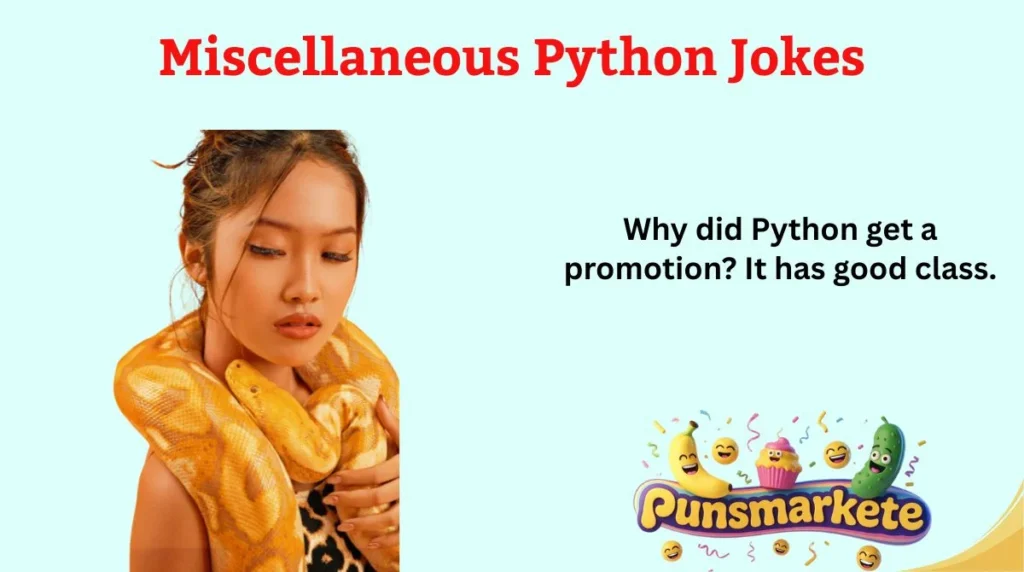 Miscellaneous Python Jokes