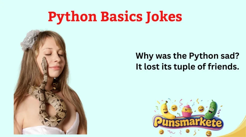 Python Basics Jokes