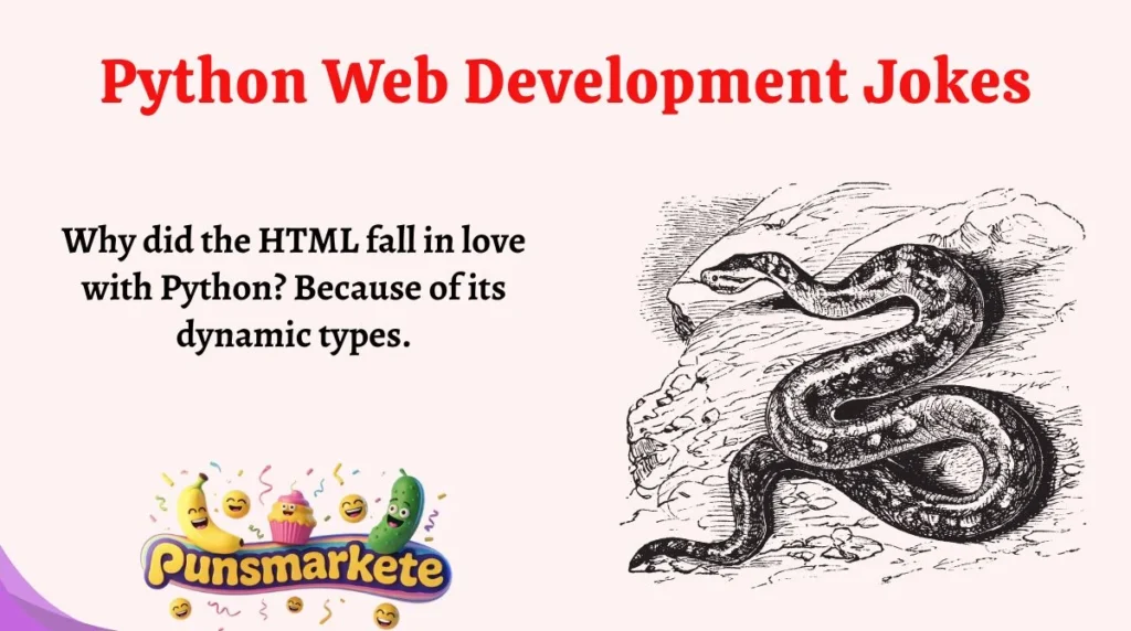 Python Web Development Jokes