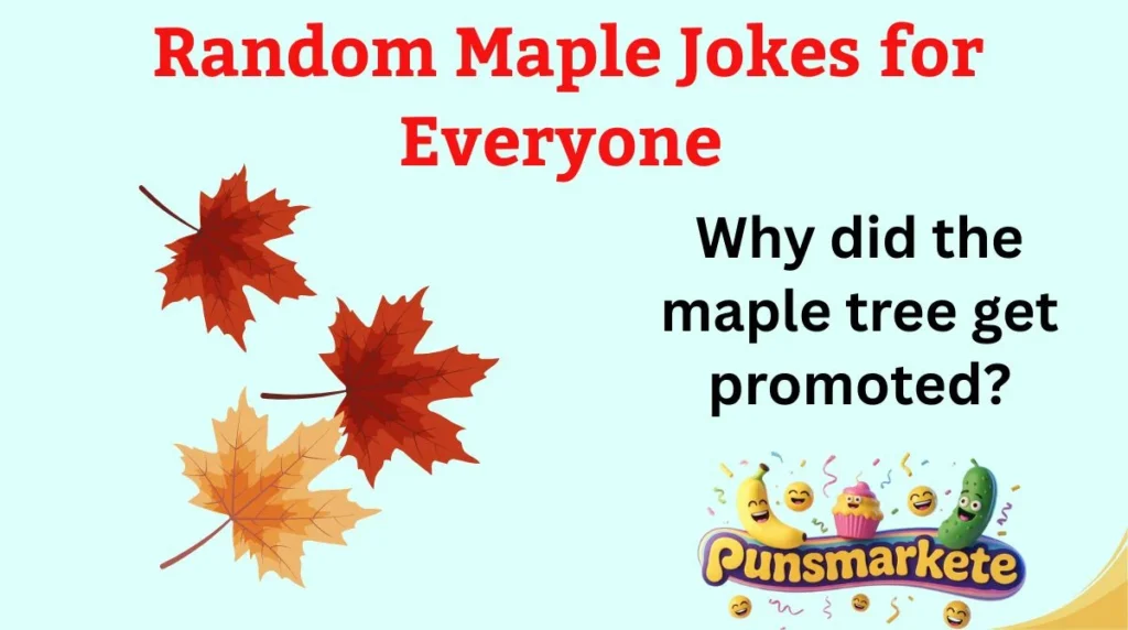 Random Maple Jokes for Everyone