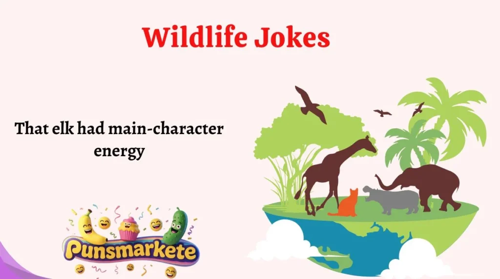 Wildlife Jokes