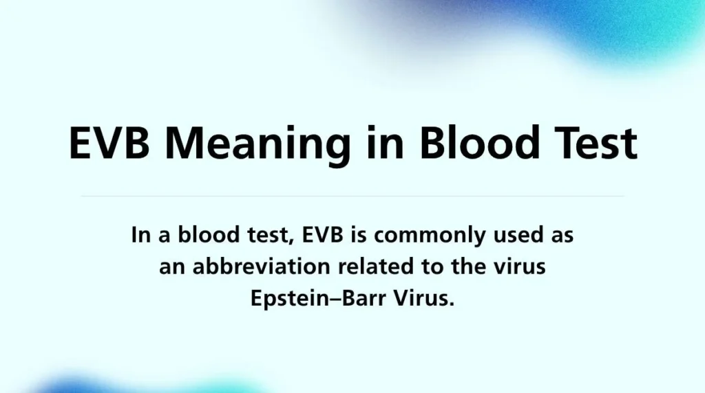 EVB Meaning in Blood Test