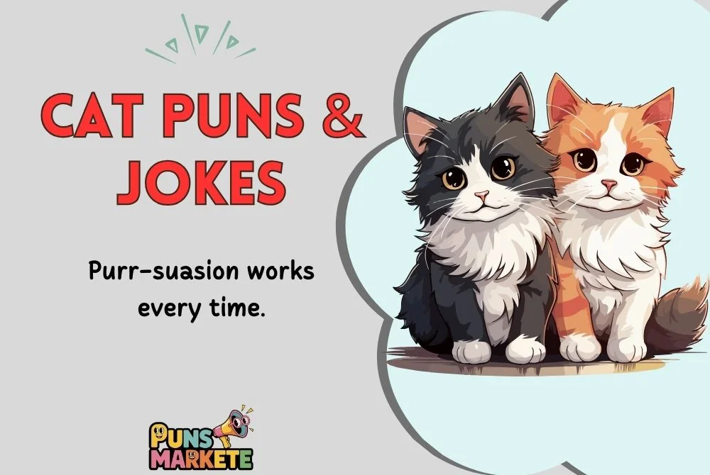 Cat Puns & Jokes
