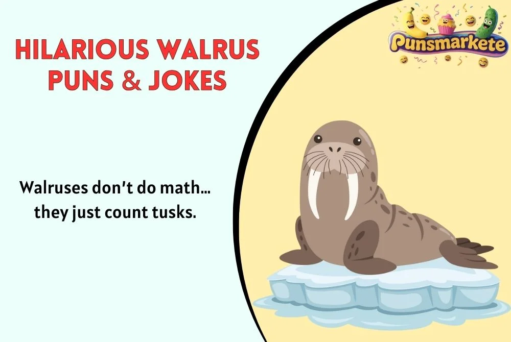 Hilarious Walrus Puns & Jokes