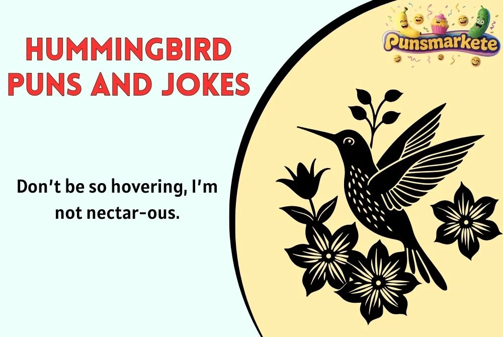 Hummingbird Puns and Jokes