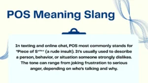 POS Meaning Slang