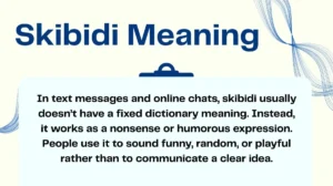Skibidi Meaning