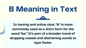 B Meaning in Text