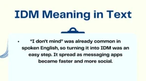 IDM Meaning in Text