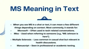 MS Meaning in Text