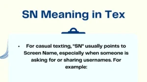 SN Meaning in Tex
