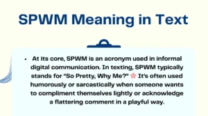 SPWM Meaning in Text
