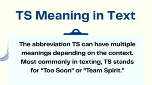 TS Meaning in Text