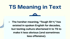 TS Meaning in Text